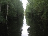Jõgeva 2011