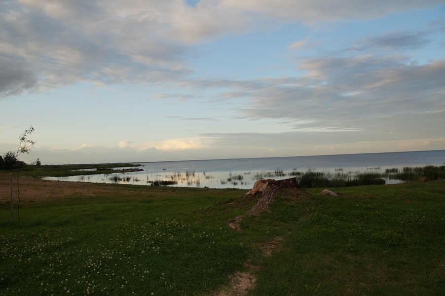 DSC06212