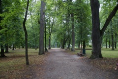 DSC07887